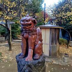 投稿日:2025年11月23日 写真