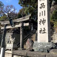 投稿日:2025年2月18日 写真