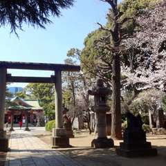 投稿日:2019年4月3日 写真