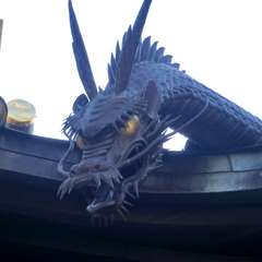 投稿日:2016年1月11日 写真