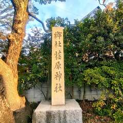 投稿日:2025年11月23日 写真