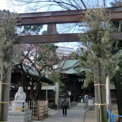 投稿日:2016年1月11日 写真