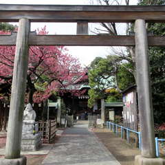 投稿日:2023年2月27日 写真