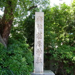 投稿日:2024年6月19日 写真