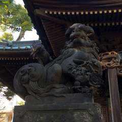 投稿日:2016年11月9日 写真