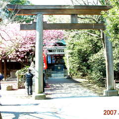 投稿日:2025年8月14日 写真