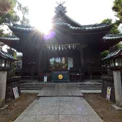 投稿日:2022年7月12日 写真