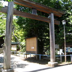 投稿日:2024年6月19日 写真