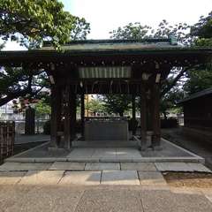 投稿日:2022年7月12日 写真