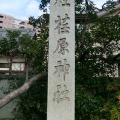 投稿日:2016年1月11日 写真