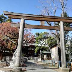 投稿日:2020年2月25日 写真