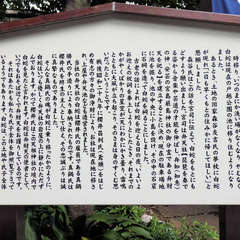 投稿日:2019年9月24日 写真