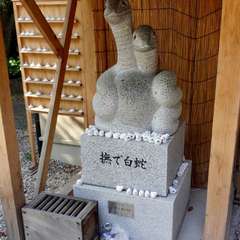 投稿日:2019年5月8日 写真