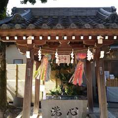 投稿日:2022年7月22日 写真