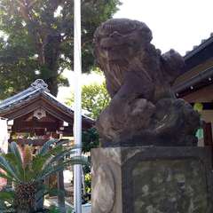 投稿日:2022年7月22日 写真