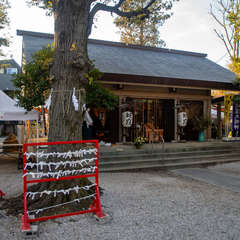 投稿日:2024年1月30日 写真