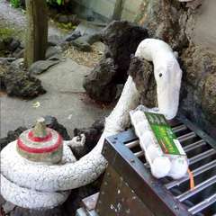 投稿日:2019年5月8日 写真