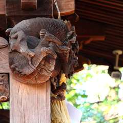 投稿日:2015年1月3日 写真