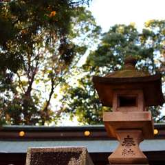 投稿日:2015年1月3日 写真