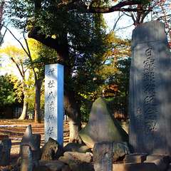 投稿日:2015年1月3日 写真