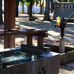 投稿日:2015年1月3日 写真