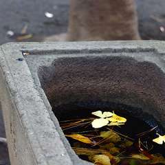 投稿日:2015年1月3日 写真