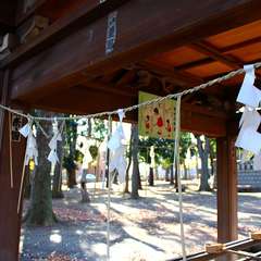 投稿日:2015年1月3日 写真