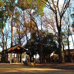 投稿日:2015年1月3日 写真