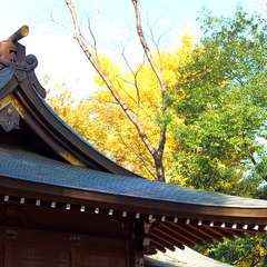 投稿日:2015年1月3日 写真