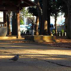 投稿日:2015年1月3日 写真