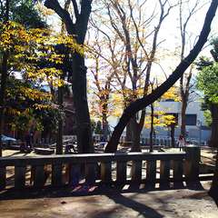 投稿日:2015年1月3日 写真