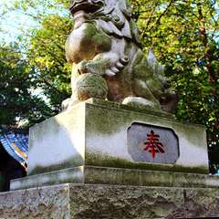 投稿日:2015年1月3日 写真