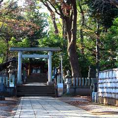 投稿日:2015年1月3日 写真