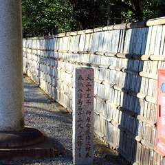 投稿日:2015年1月3日 写真