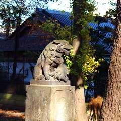 投稿日:2015年1月3日 写真