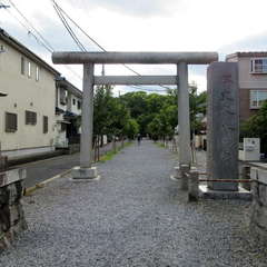 投稿日:2023年5月21日 写真