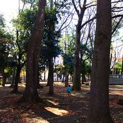 投稿日:2015年1月3日 写真