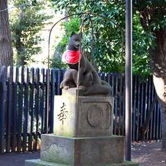 投稿日:2015年1月3日 写真