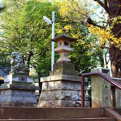 投稿日:2015年1月3日 写真