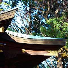 投稿日:2015年1月3日 写真