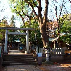 投稿日:2015年1月3日 写真