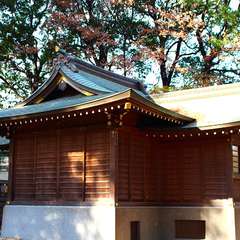 投稿日:2015年1月3日 写真