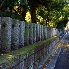 投稿日:2015年1月3日 写真