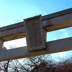 投稿日:2015年1月3日 写真