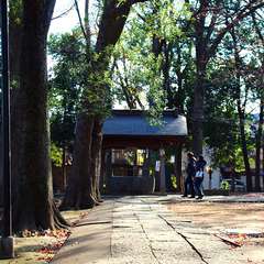 投稿日:2015年1月3日 写真