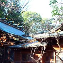 投稿日:2015年1月3日 写真