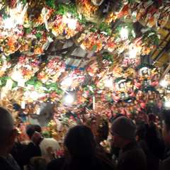 投稿日:2014年11月9日 写真