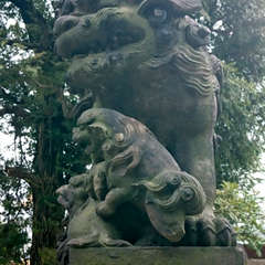 投稿日:2018年10月14日 写真