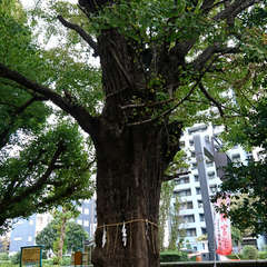 投稿日:2018年10月14日 写真
