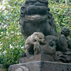 投稿日:2018年10月14日 写真